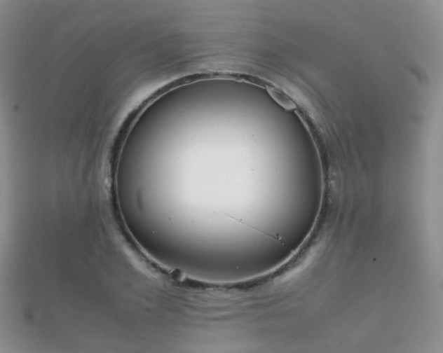 X0000112070981200908111429