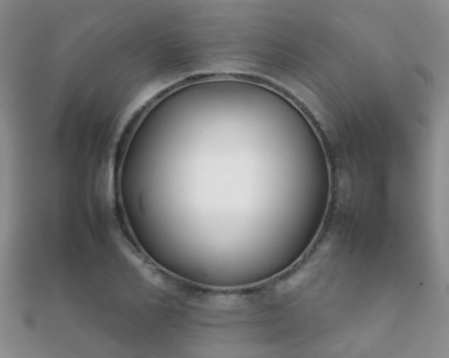 X0000112070982200908111429