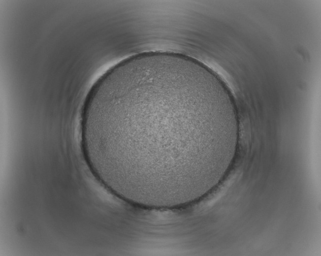 X0000112070983200908111429