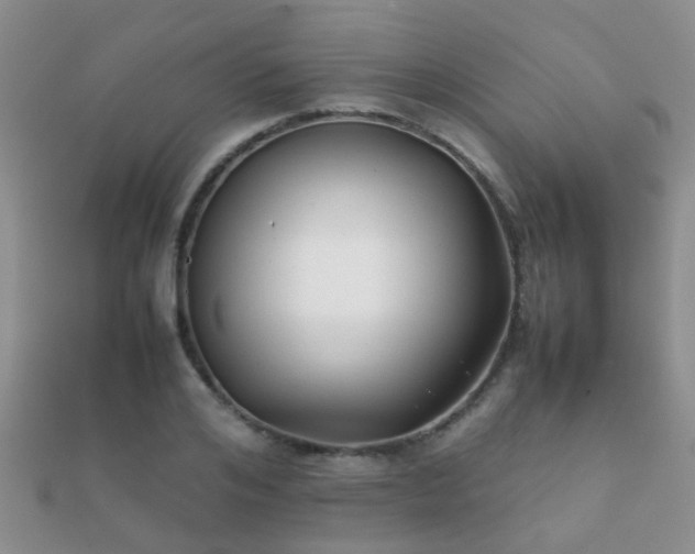 X0000112070984200908111429