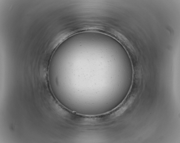 X0000112070985200908111429