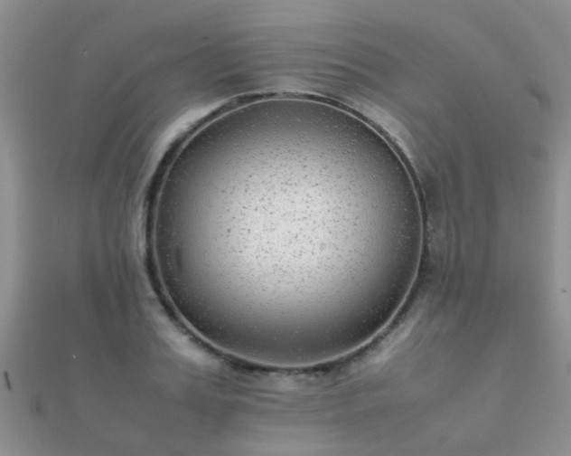 X0000112070987200908111429