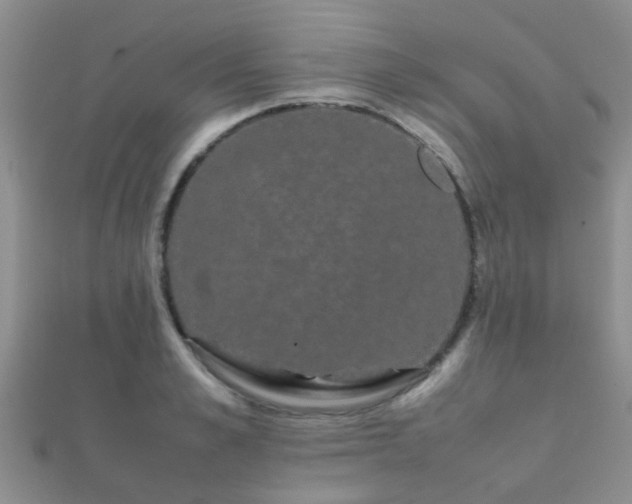 X0000112070989200908111429