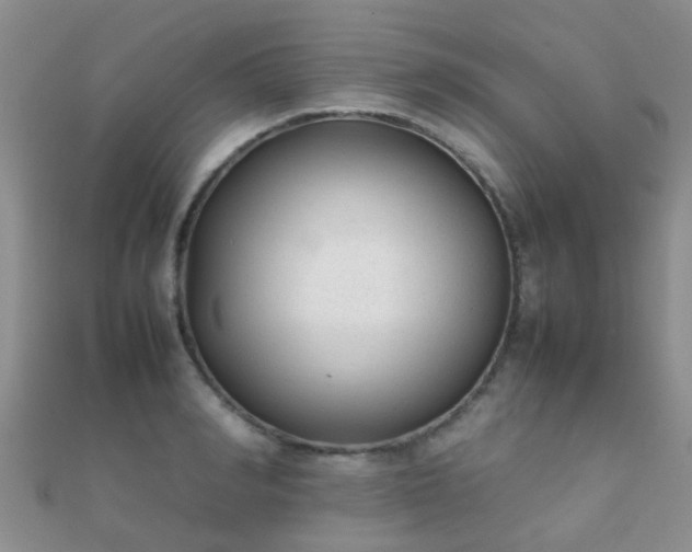 X0000112070990200908111429