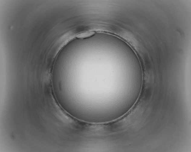 X0000112070993200908111429