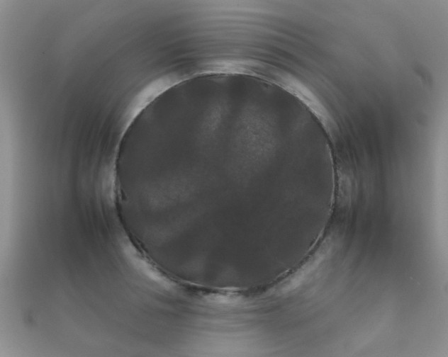 X0000112070994200908111429