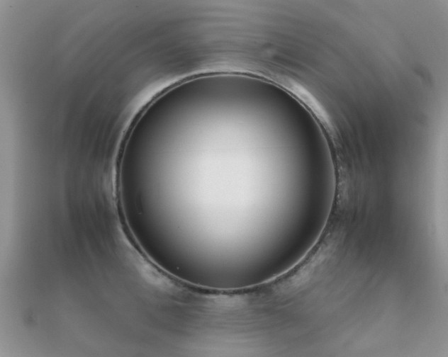 X0000112070996200908111429