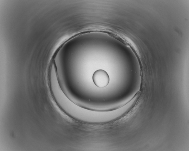 X0000112070997200908111429