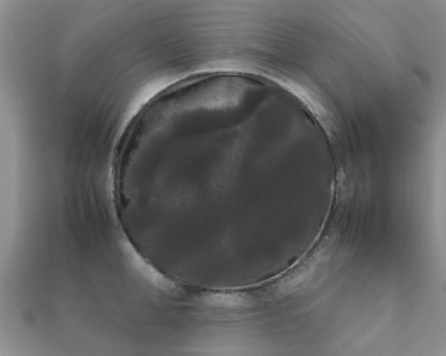 X0000112070998200908111429