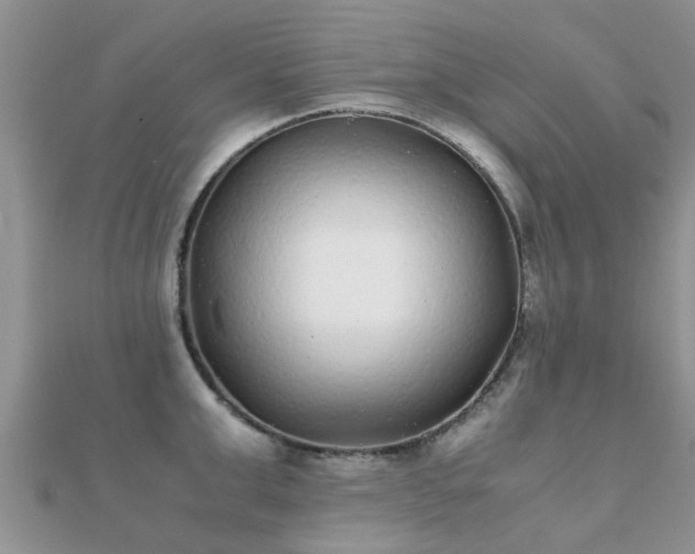 X0000112070999200908111429