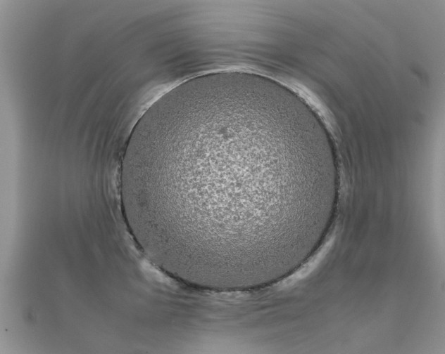 X0000112071001200908111429