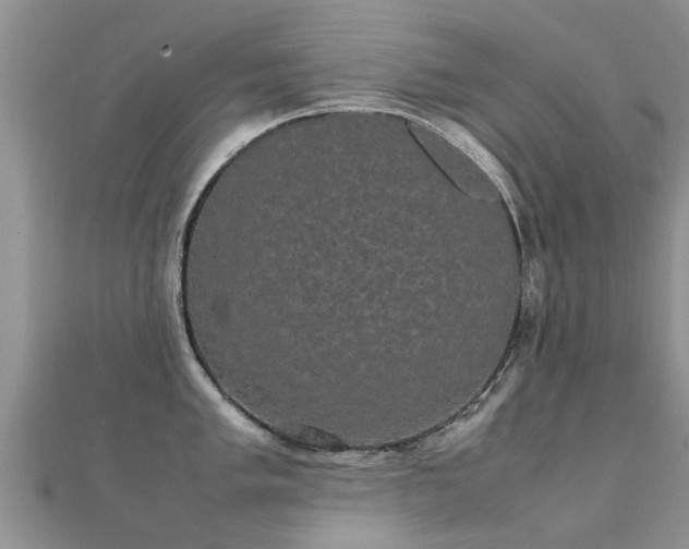 X0000112071005200908111429