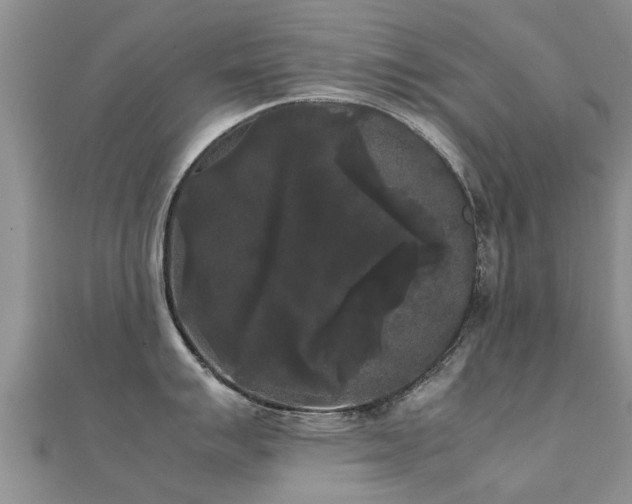 X0000112071007200908111429