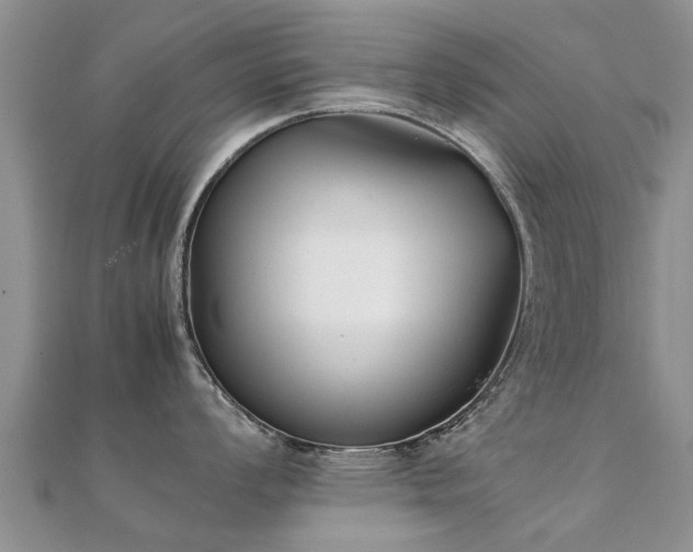 X0000112071008200908111429