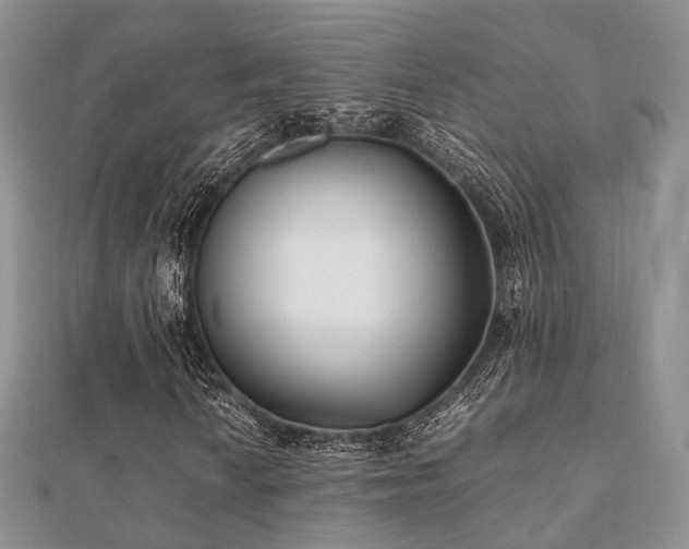 X0000112071010200908111428