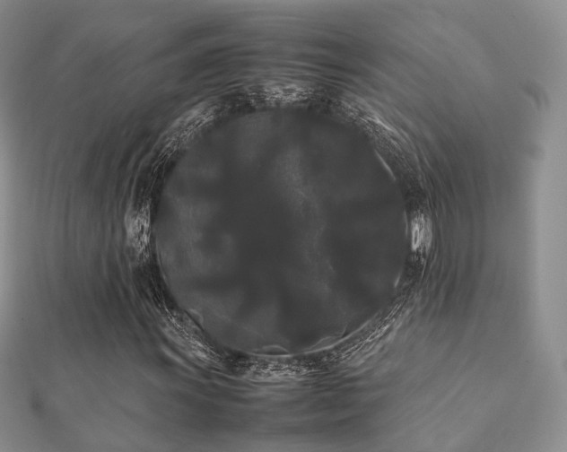 X0000112071011200908111428