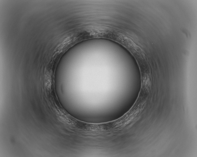 X0000112071012200908111428