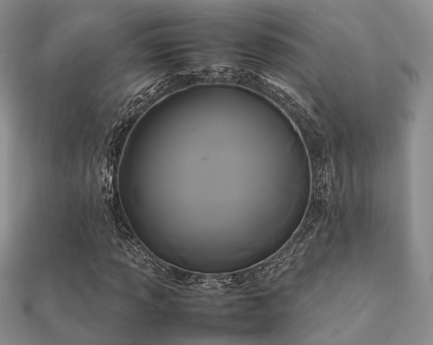 X0000112071013200908111428