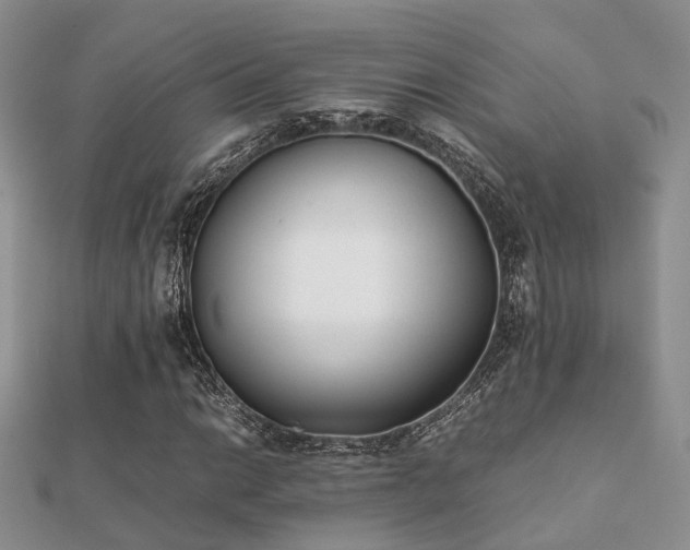 X0000112071014200908111428