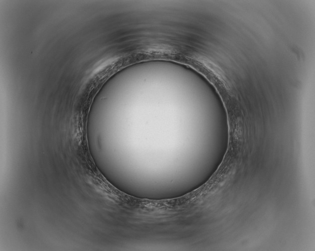 X0000112071015200908111428