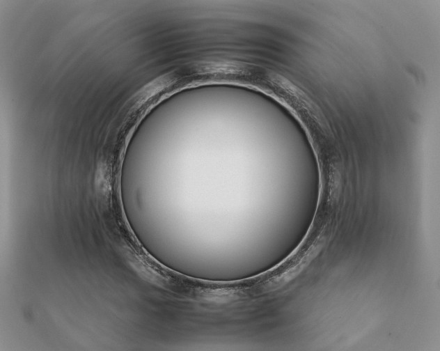 X0000112071017200908111428