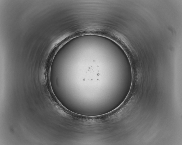 X0000112071018200908111428