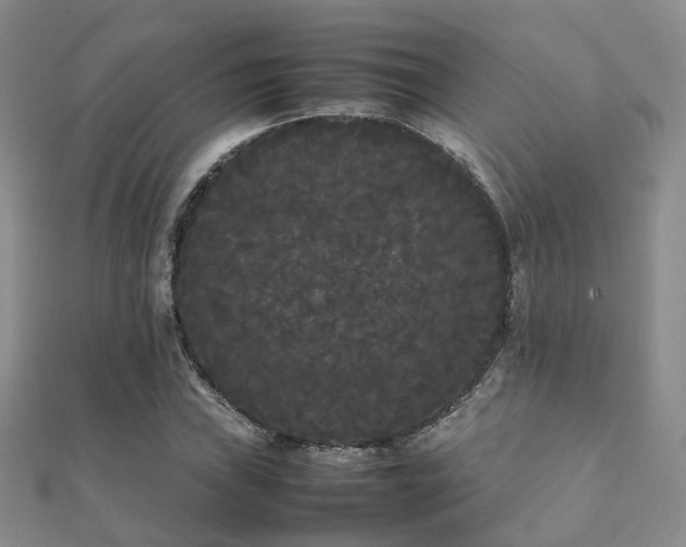 X0000112071019200908111428