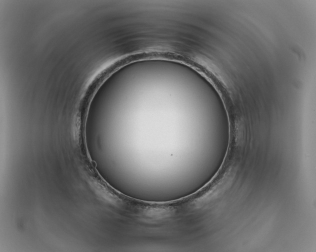 X0000112071021200908111428