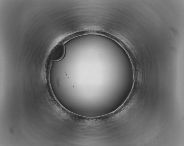 X0000112071022200908111428