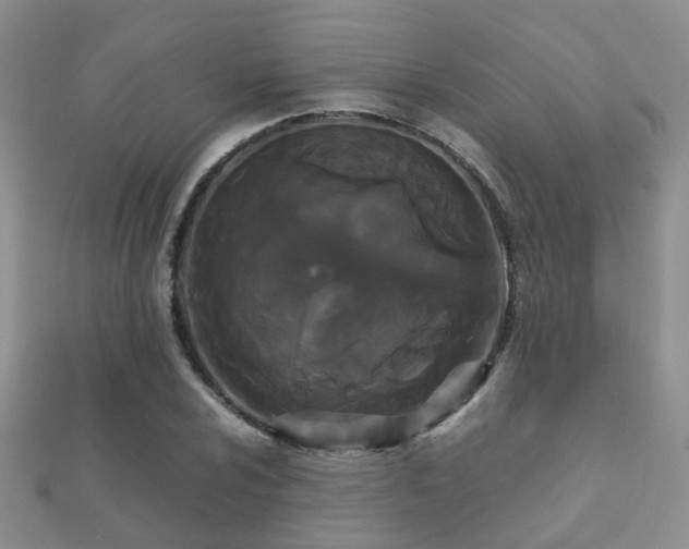 X0000112071024200908111428