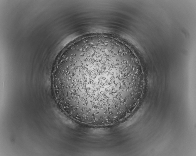 X0000112071025200908111428