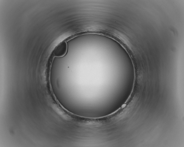 X0000112071026200908111428