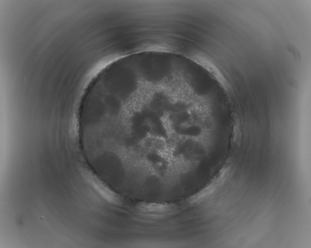 X0000112071027200908111428