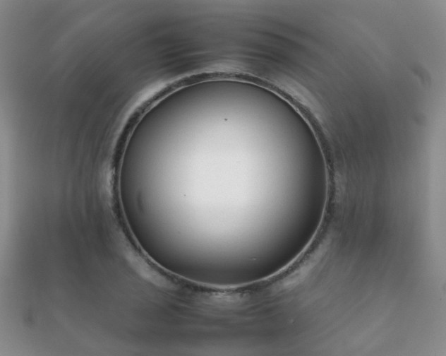 X0000112071029200908111428