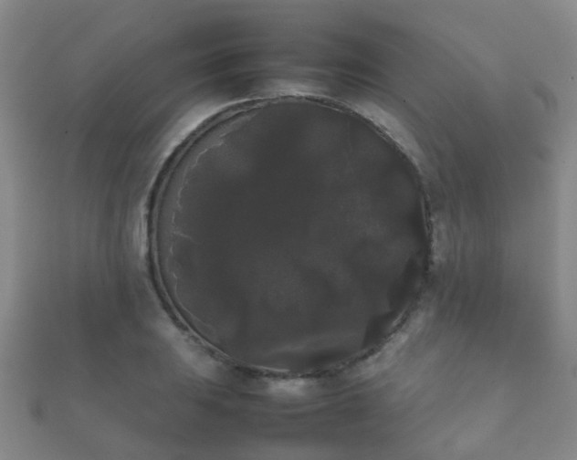 X0000112071031200908111429