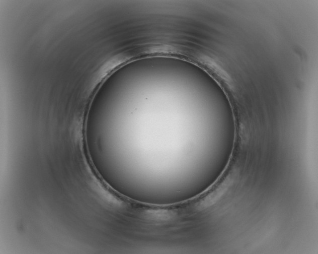 X0000112071033200908111429