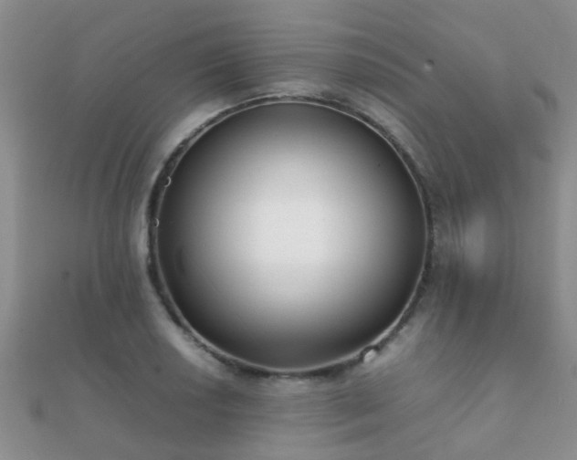 X0000112071034200908111429