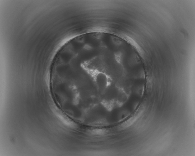 X0000112071035200908111429