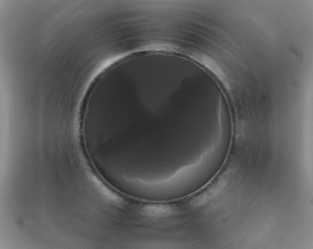 X0000112071037200908111429