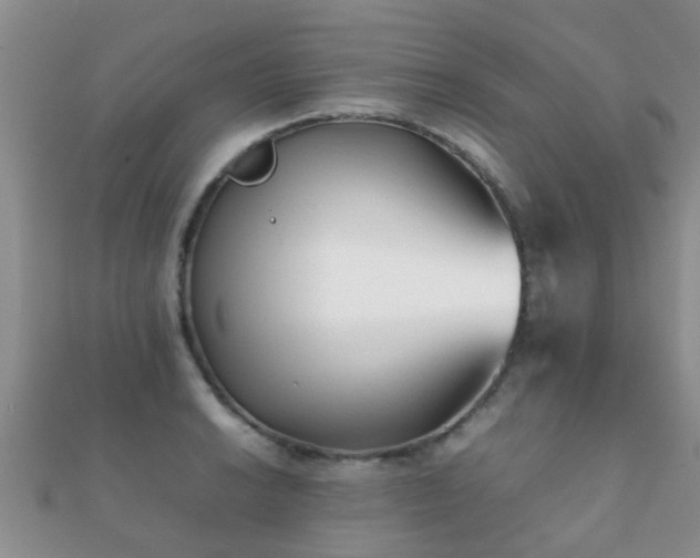 X0000112071038200908111429