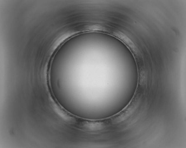 X0000112071039200908111429