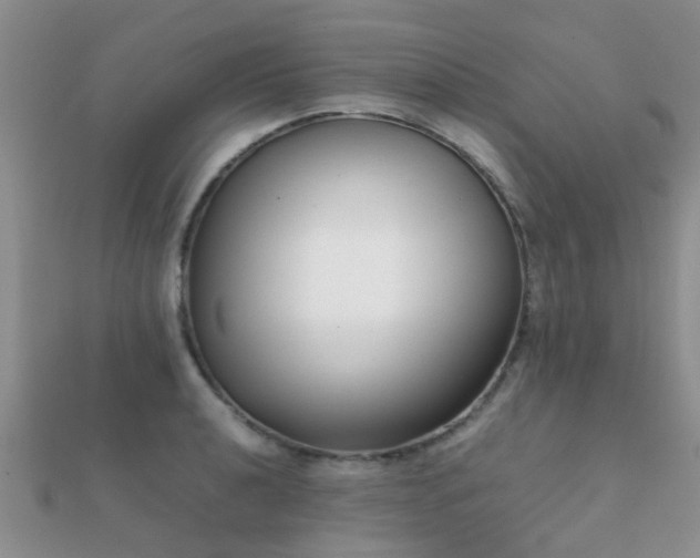 X0000112071040200908111429