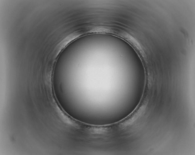 X0000112071041200908111429