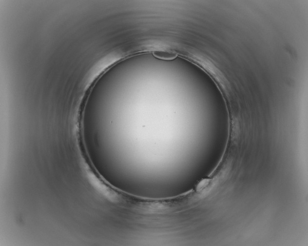 X0000112071042200908111429