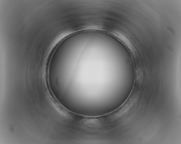 X0000112071043200908111429