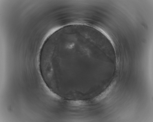 X0000112071045200908111429