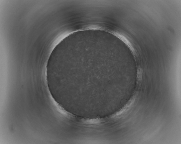 X0000112071047200908111429