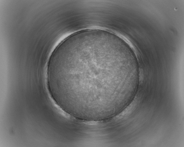 X0000112071048200908111429