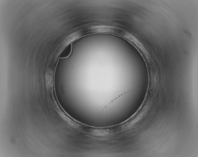 X0000112071049200908111429