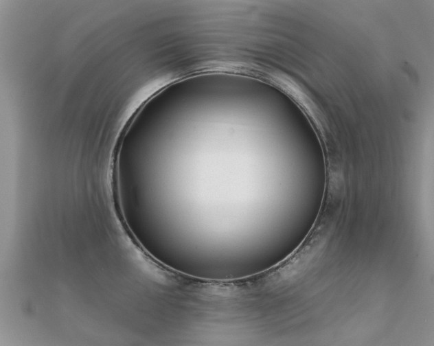 X0000112071050200908111429